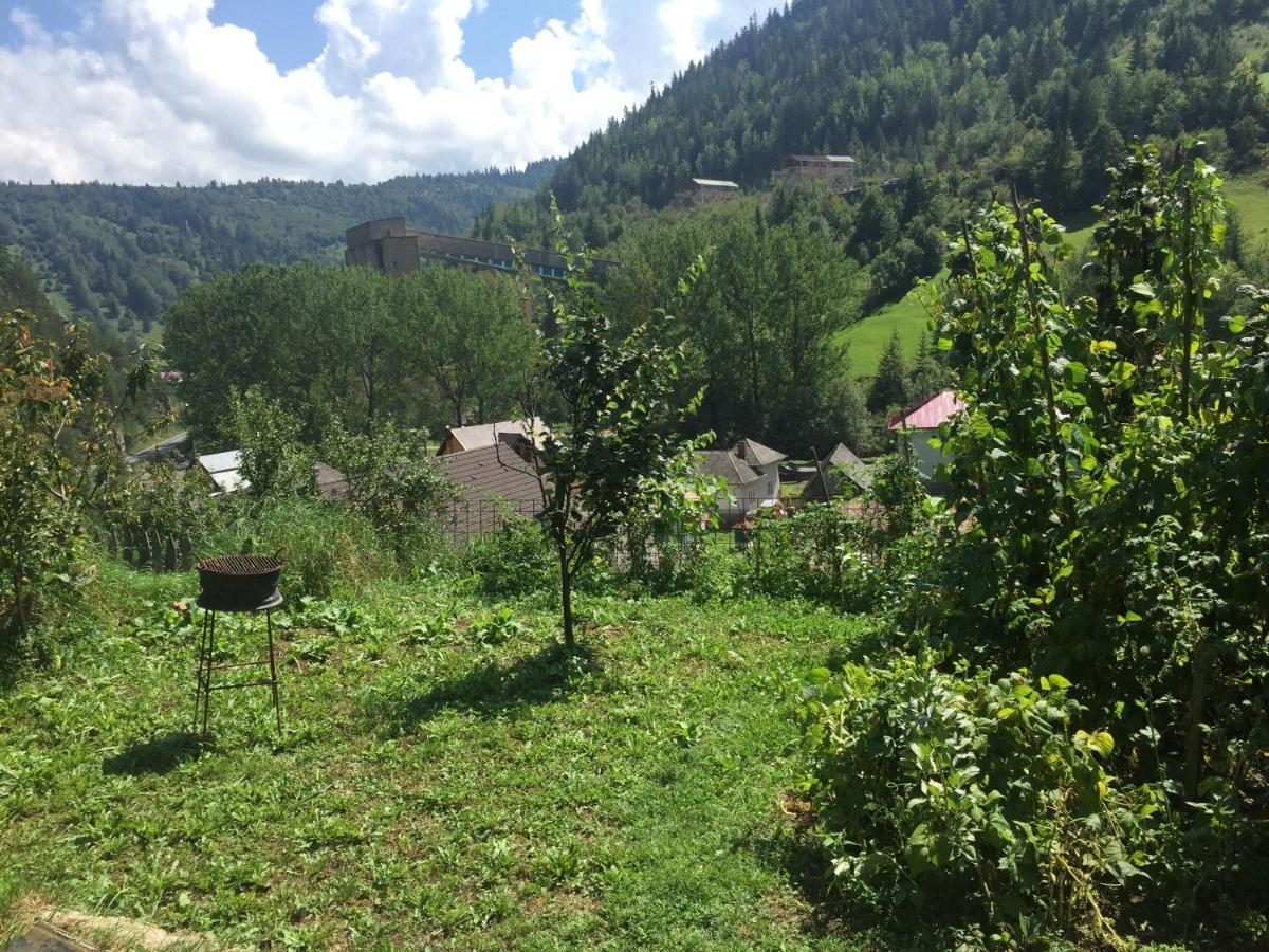 Acasa In Bicaz-Chei - Camere De Inchiriat Cheile Bicazului Eksteriør billede