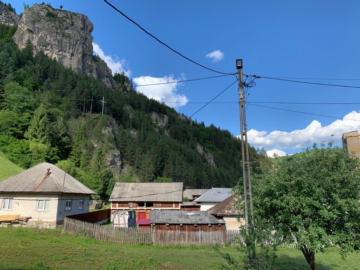 Acasa In Bicaz-Chei - Camere De Inchiriat Cheile Bicazului Eksteriør billede